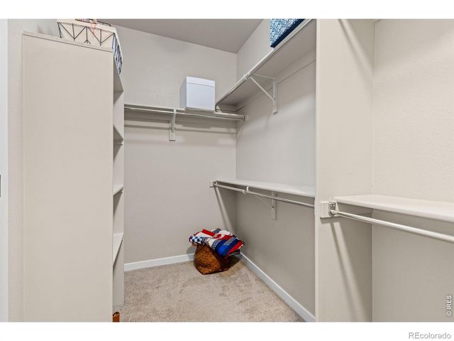 2176 Day Spring Drive, Windsor, CO 80550