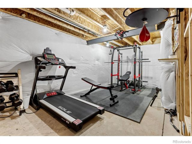 2176 Day Spring Drive, Windsor, CO 80550