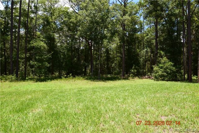 9106 N Lily Drive, Citrus Springs, FL 34434