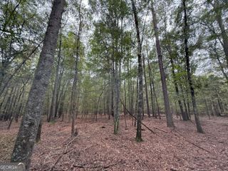 4 Jefferson River Road, Athens, GA 30607