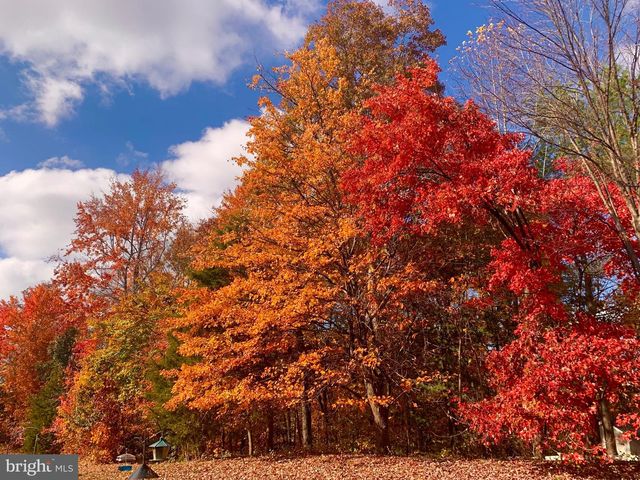 47 BRUSH EVERARD CT, Stafford, VA 22554