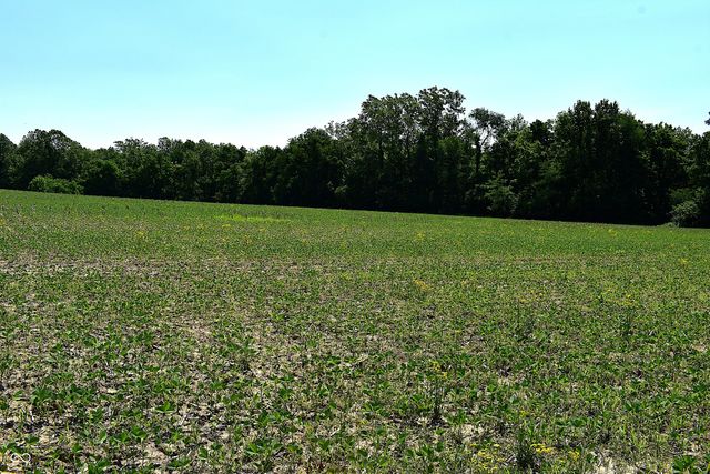 0 Watson Road E, Mooresville, IN 46158