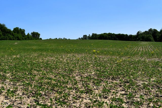 0 Watson Road E, Mooresville, IN 46158