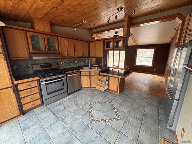 1534 Roland Dr, Bailey, CO 80421