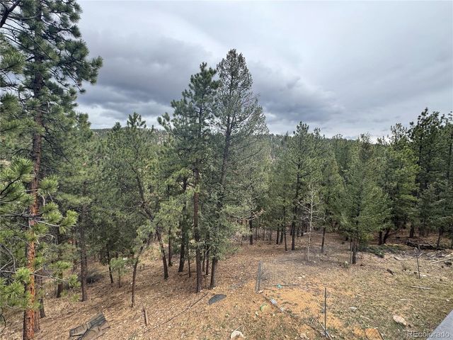 1534 Roland Dr, Bailey, CO 80421