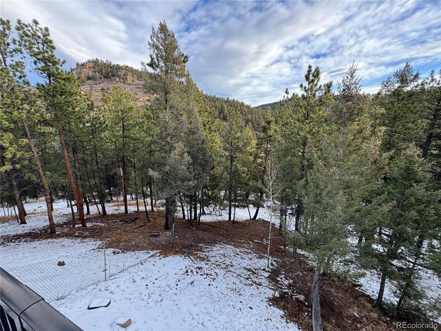 1534 Roland Dr, Bailey, CO 80421