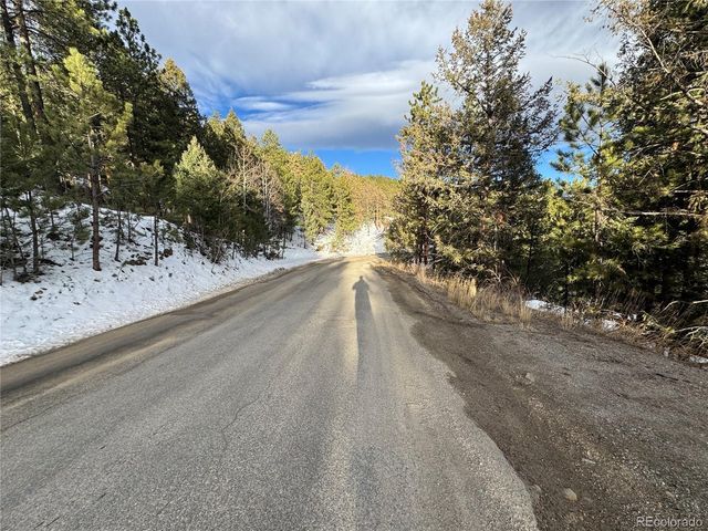 1534 Roland Dr, Bailey, CO 80421