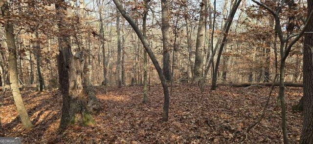 00001 Matt Highway, Ball Ground, GA 30107