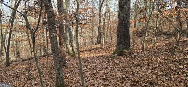 00001 Matt Highway, Ball Ground, GA 30107