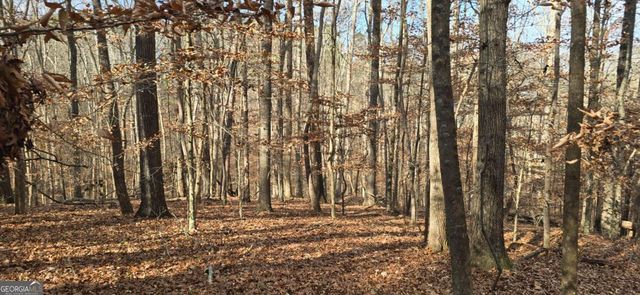 00001 Matt Highway, Ball Ground, GA 30107