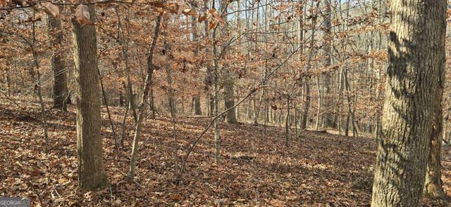 00001 Matt Highway, Ball Ground, GA 30107