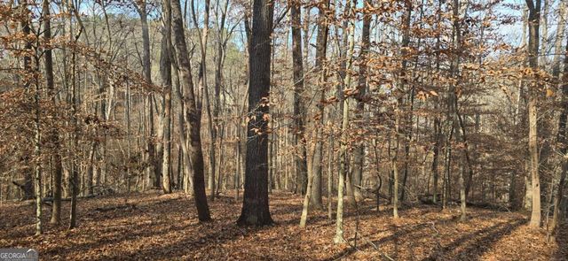 00001 Matt Highway, Ball Ground, GA 30107