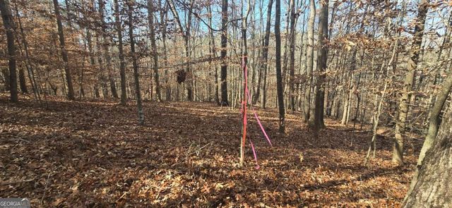 00001 Matt Highway, Ball Ground, GA 30107