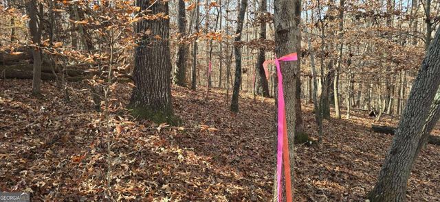 00001 Matt Highway, Ball Ground, GA 30107