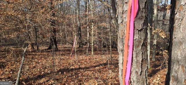 00001 Matt Highway, Ball Ground, GA 30107