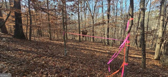 00001 Matt Highway, Ball Ground, GA 30107