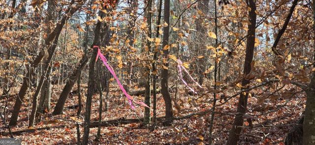 00001 Matt Highway, Ball Ground, GA 30107