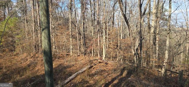 00001 Matt Highway, Ball Ground, GA 30107