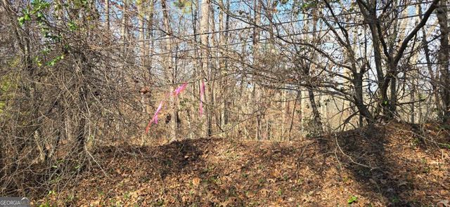 00001 Matt Highway, Ball Ground, GA 30107