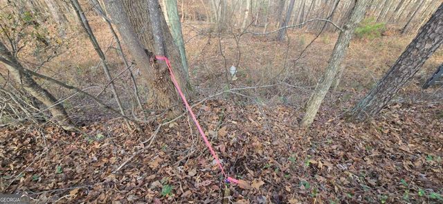 00001 Matt Highway, Ball Ground, GA 30107