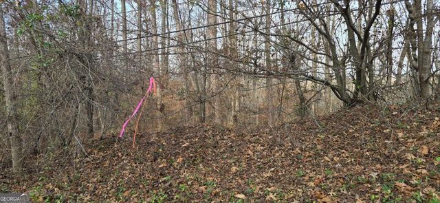 00001 Matt Highway, Ball Ground, GA 30107