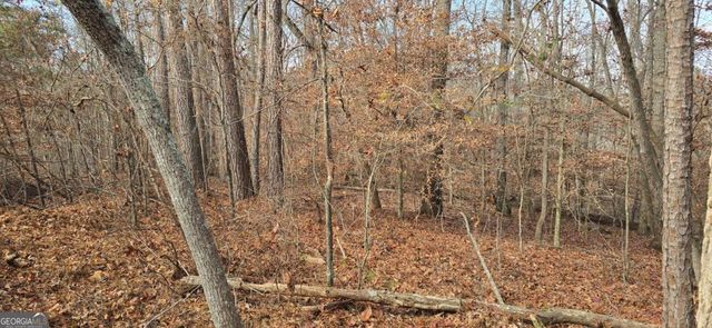 00001 Matt Highway, Ball Ground, GA 30107