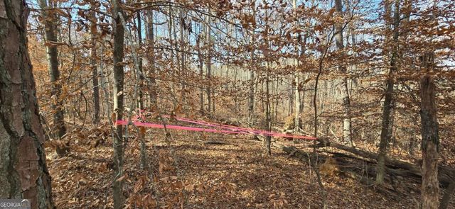 00001 Matt Highway, Ball Ground, GA 30107