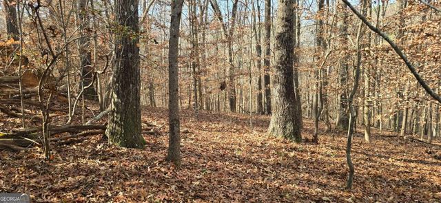 00001 Matt Highway, Ball Ground, GA 30107