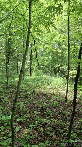 491 Signal Ridge Road 25, Sylva, NC 28779