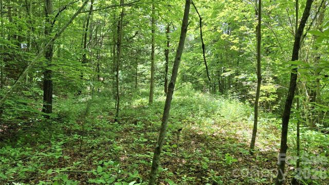 491 Signal Ridge Road 25, Sylva, NC 28779