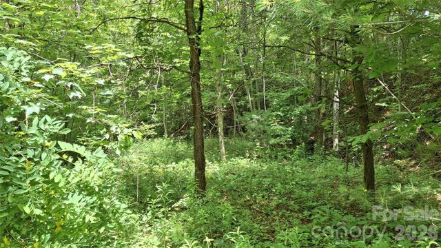 491 Signal Ridge Road 25, Sylva, NC 28779