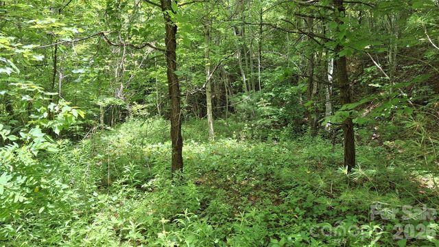 491 Signal Ridge Road 25, Sylva, NC 28779