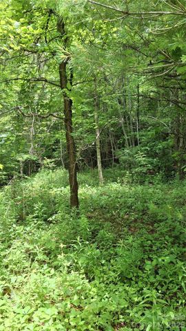 491 Signal Ridge Road 25, Sylva, NC 28779