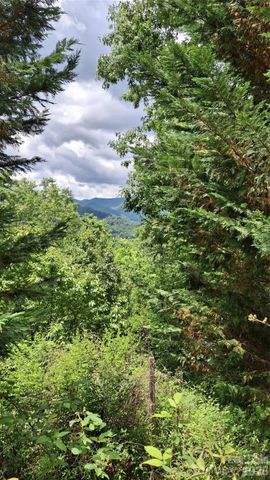 491 Signal Ridge Road 25, Sylva, NC 28779
