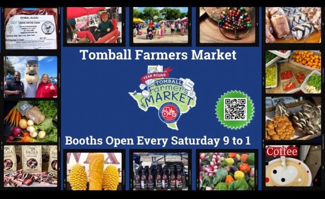 TBD Stuebner Drive, Tomball, TX 77375