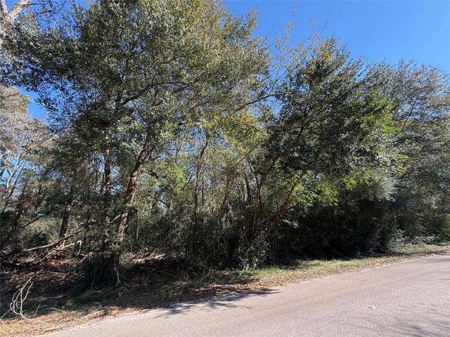 TBD Stuebner Drive, Tomball, TX 77375