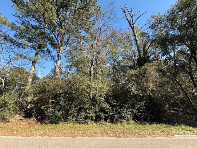 TBD Stuebner Drive, Tomball, TX 77375