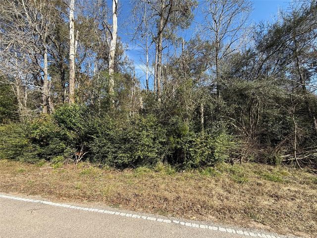 TBD Stuebner Drive, Tomball, TX 77375
