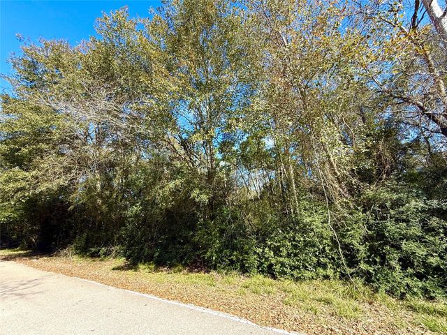 TBD Stuebner Drive, Tomball, TX 77375