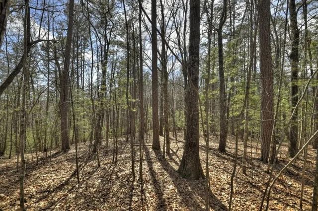 Lot 1 Chestnut Gap Road, Blue Ridge, GA 30513