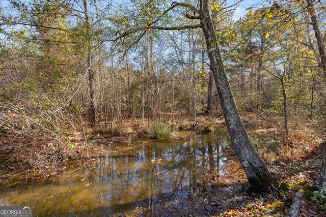 49 Lagrange Highway, Greenville, GA 30222