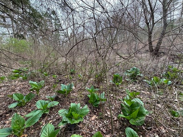 3 Howarth Rd, Oxford, MA 01540