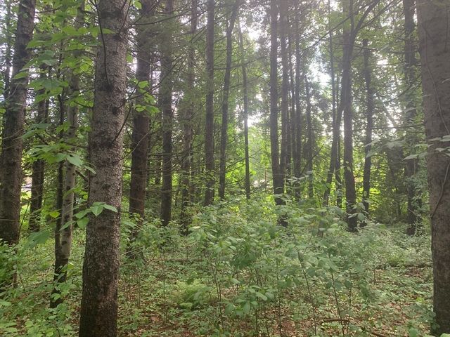 3 Howarth Rd, Oxford, MA 01540