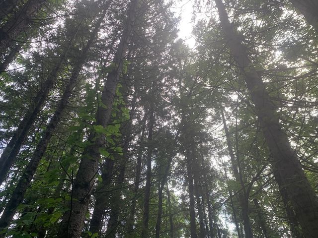 3 Howarth Rd, Oxford, MA 01540