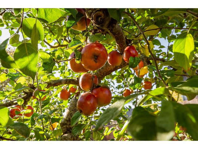 1204 E SECOND Ave, Sutherlin, OR 97479