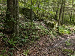 61 62 63 Laurel Lane, Slade, KY 40376