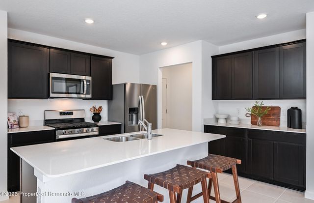 3790 Hornbeam Road, Spring Hill, FL 34609