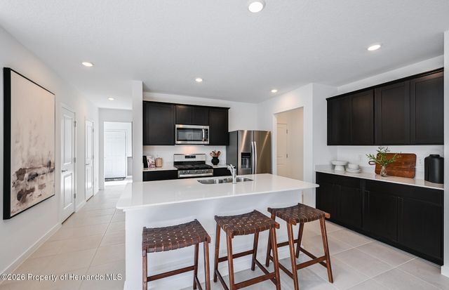 3790 Hornbeam Road, Spring Hill, FL 34609