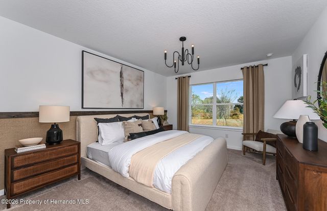 3790 Hornbeam Road, Spring Hill, FL 34609