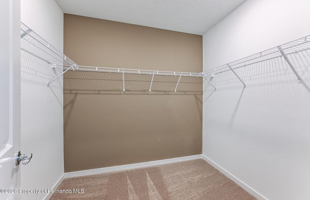 3790 Hornbeam Road, Spring Hill, FL 34609